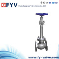 Manuelles Gusseisen-Cryogenic Globe Valve